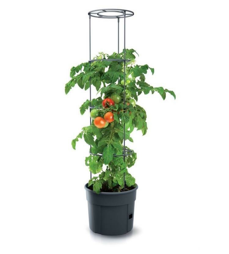 Květináč na pěstování rajčat TOMATO GROWER antracit 39,2cm